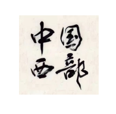 《中国西部》报道刘卫兵董事长